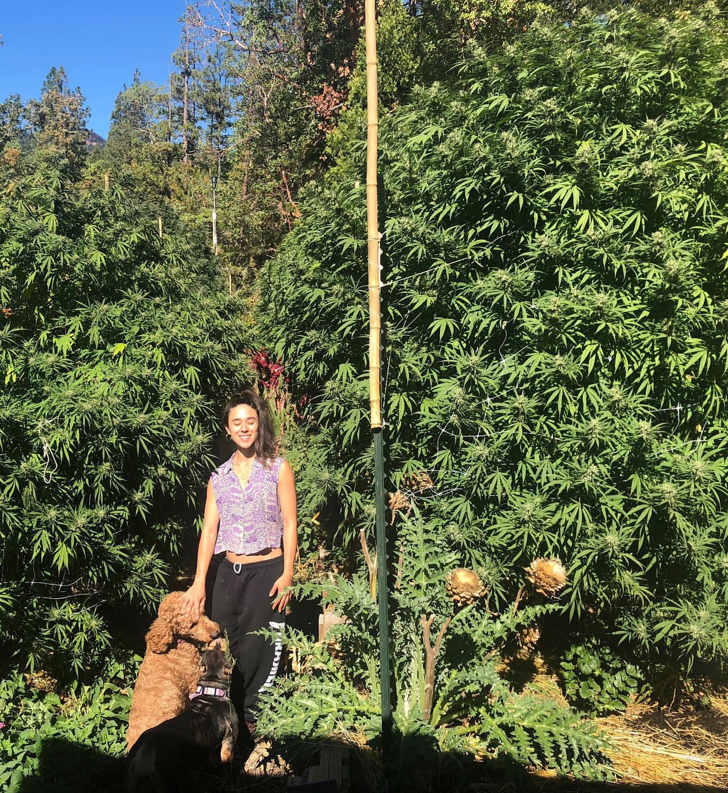 Life on the Staefli farm
