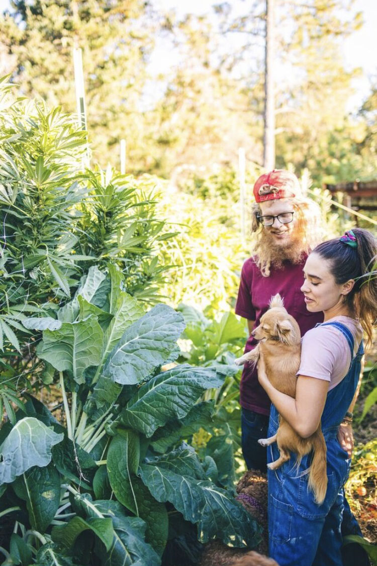 Life on the Staefli farm