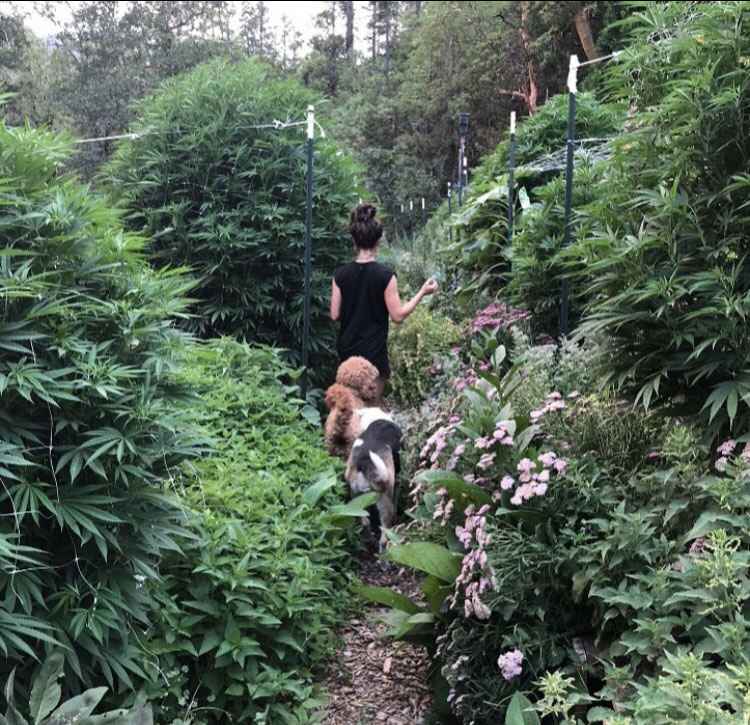 Life on the Staefli farm