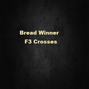 Bread Winner F3 Crosses