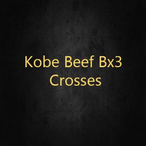 Kobe Beef Bx3 Crosses