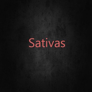 Sativas