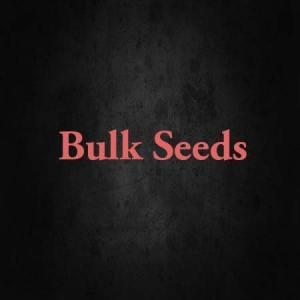 Bulk Seeds